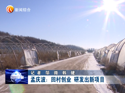 孟庆波:回村创业 研发出新项目