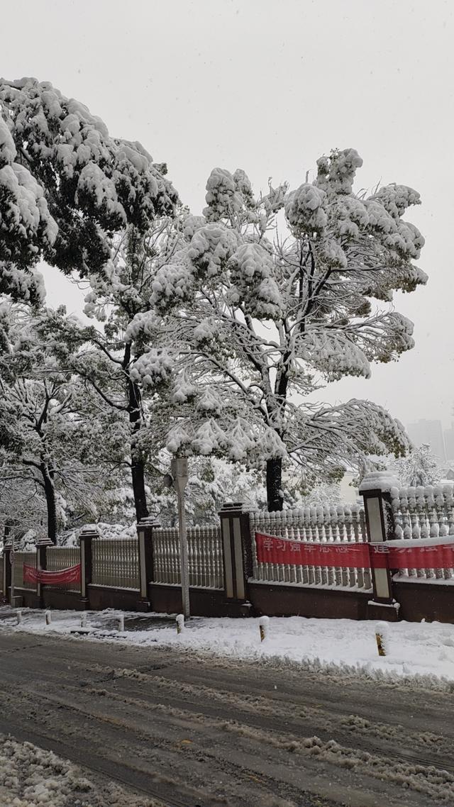 南国有嘉雪,春来压几枝