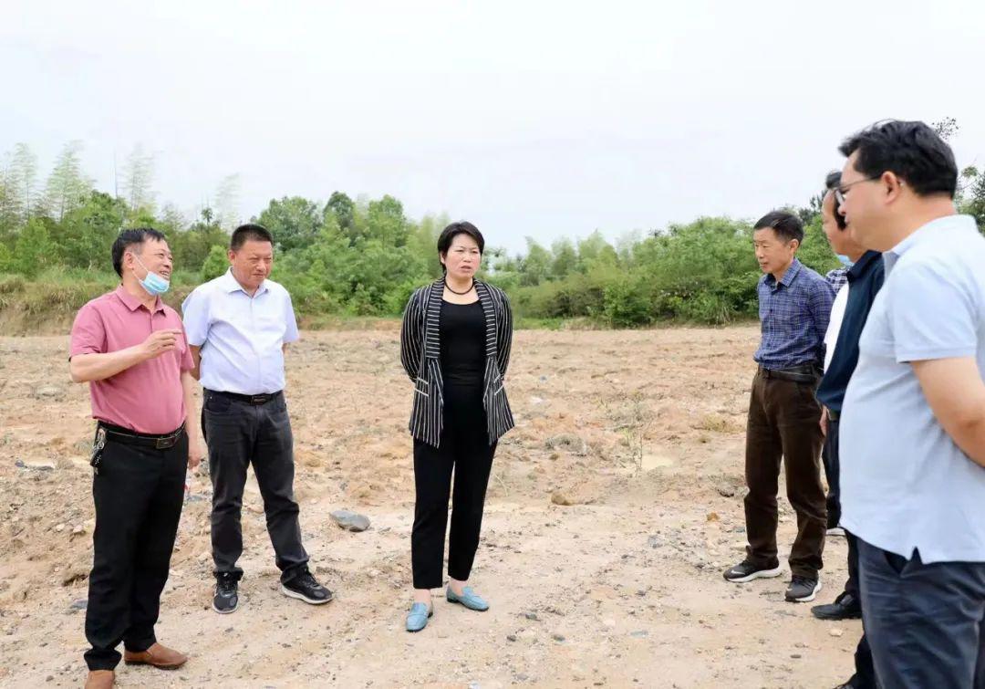 谭海华赴通城县开展巡林调研