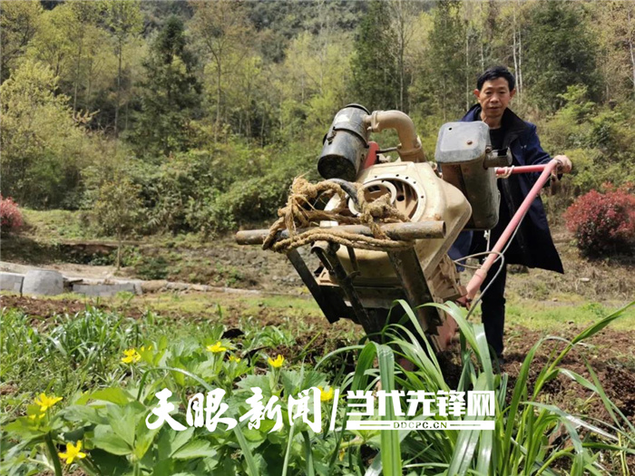 致富经养牛致富故事视频(cctv7养牛致富经养牛)