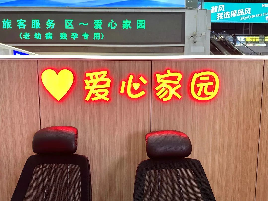 迎春花绽放,扮靓"双区"名片