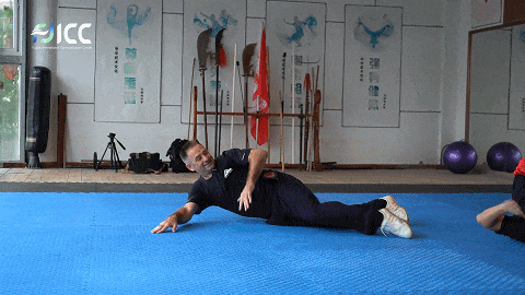 遗产"狗拳"学名地术拳第一回请收下我的江湖名片在下福建地术拳就此展