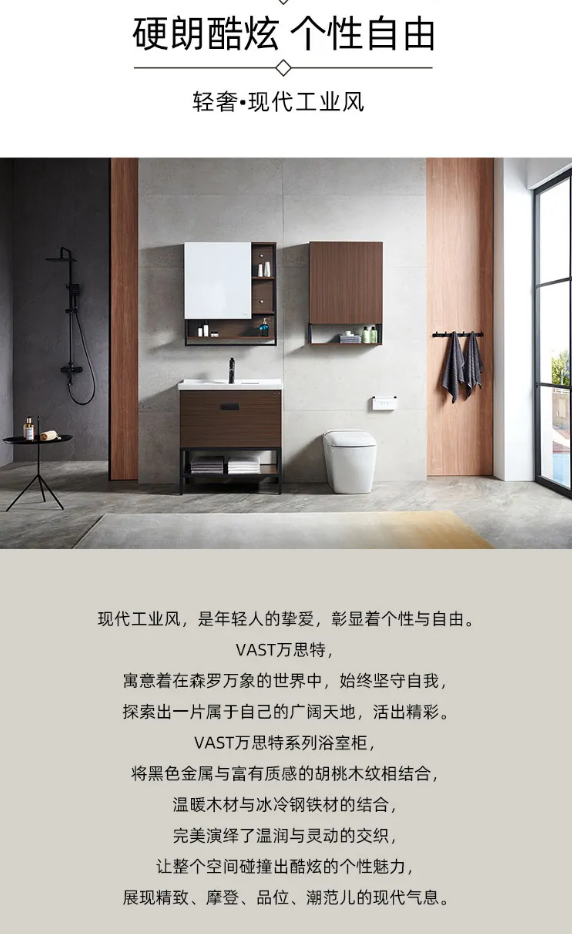 鹰卫浴vast万思特浴室柜套间   恒洁卫浴
