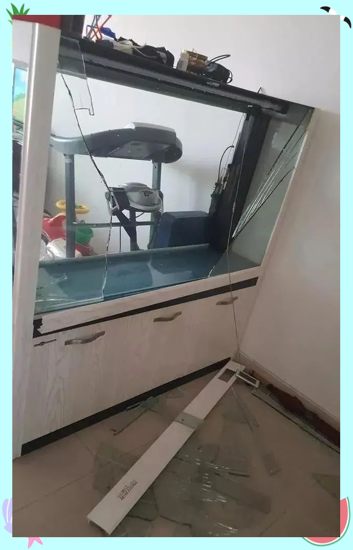 鱼缸爆裂背后的8大安全隐患,鱼友们需警惕