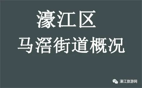 濠江区马滘街道概况