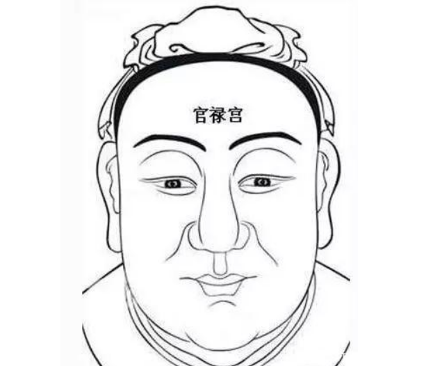 面相知识~论官禄宫(额头部位)
