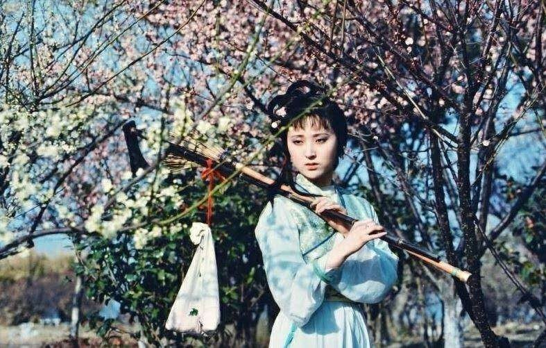 黛玉葬花陆羽艺茶,观花饮茶