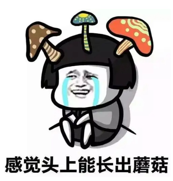 梅雨季,潮湿发霉怎么办?