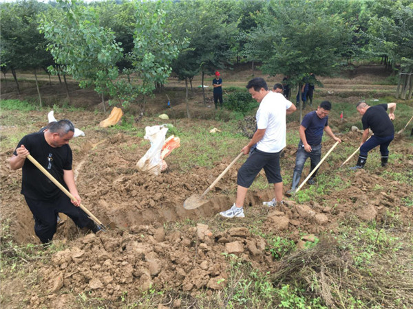 安徽東至東流鎮:應急分隊一線防汛衝在前