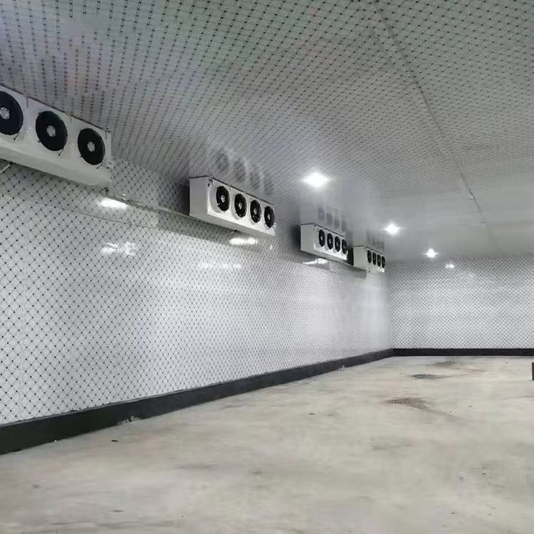 冷库设计安装：确保食材安全的新篇章