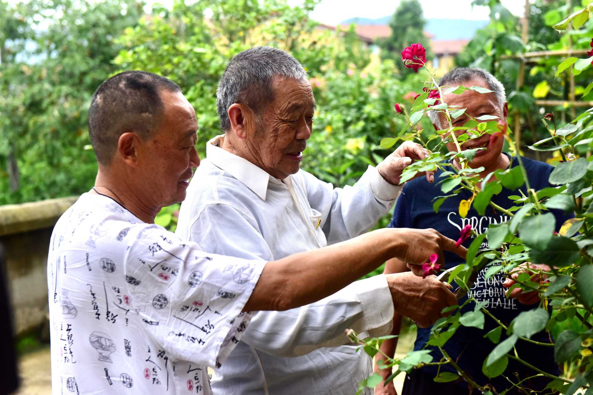 彭凤祥:八旬老党员的"特殊生日"