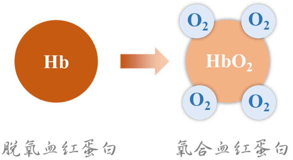 光学"魔戒"问世