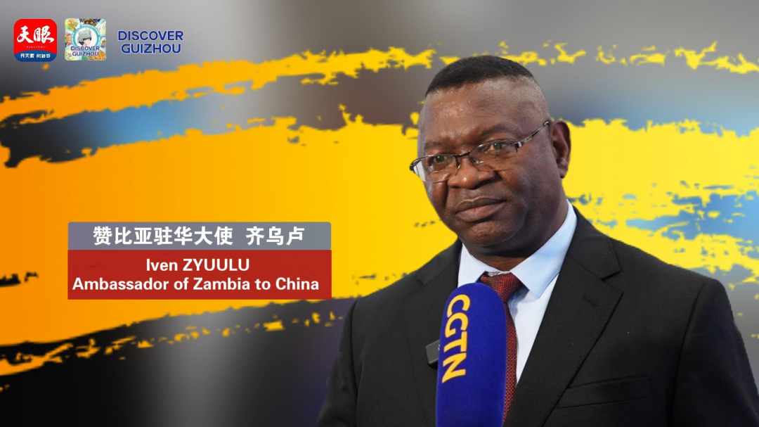 2024"驻华使节贵州行"|赞比亚驻华大使:非常高兴用中国的技术和方式走