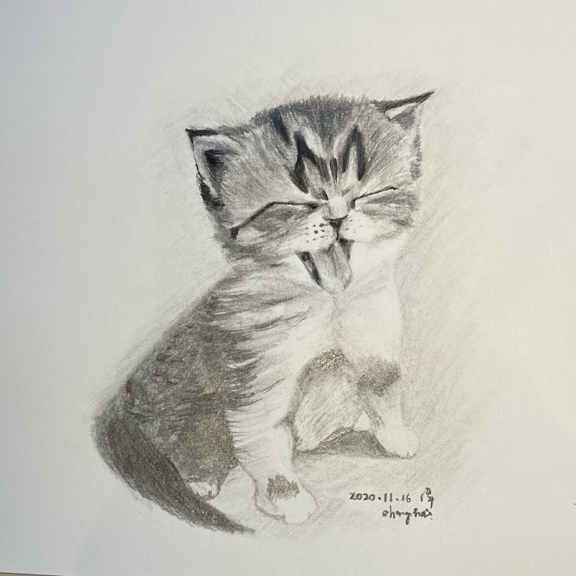 第7猫:颗颗笑|铅笔画|隔离随手画