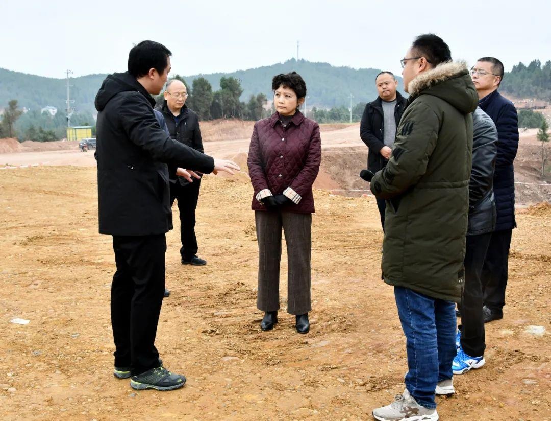 李亚莲赴盐亭督导重点项目和生态环境建设工作