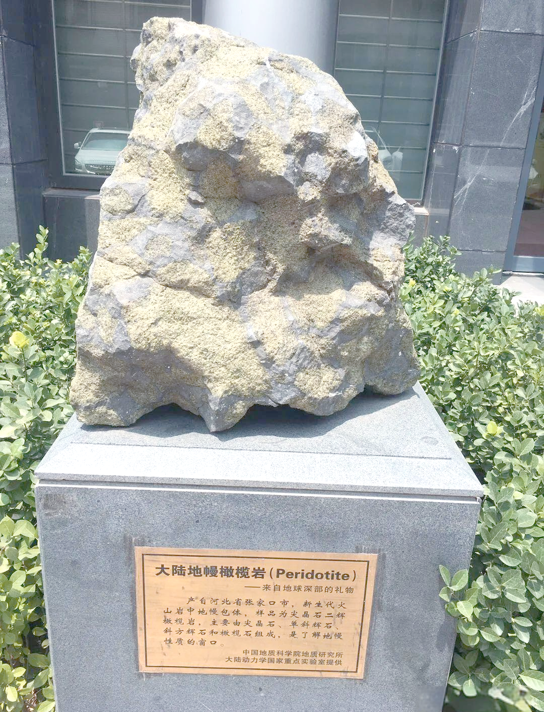 探秘多样的矿石岩石标本