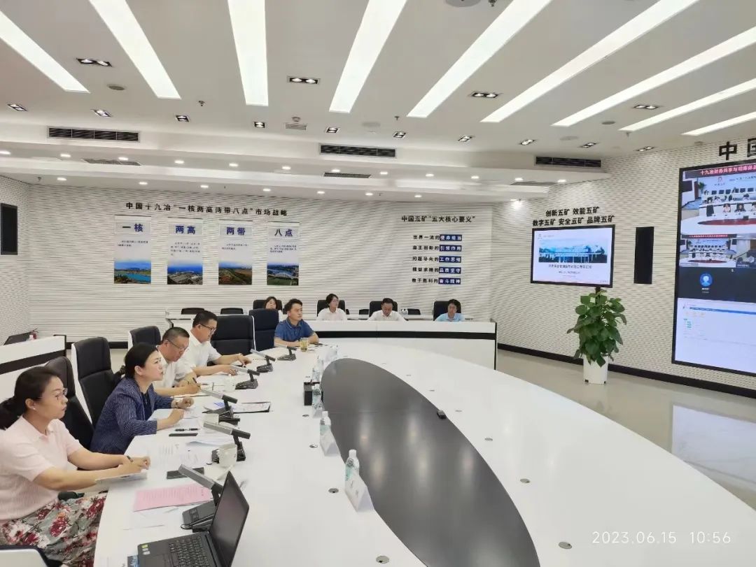 邹宏英到中国十九冶开展调查研究