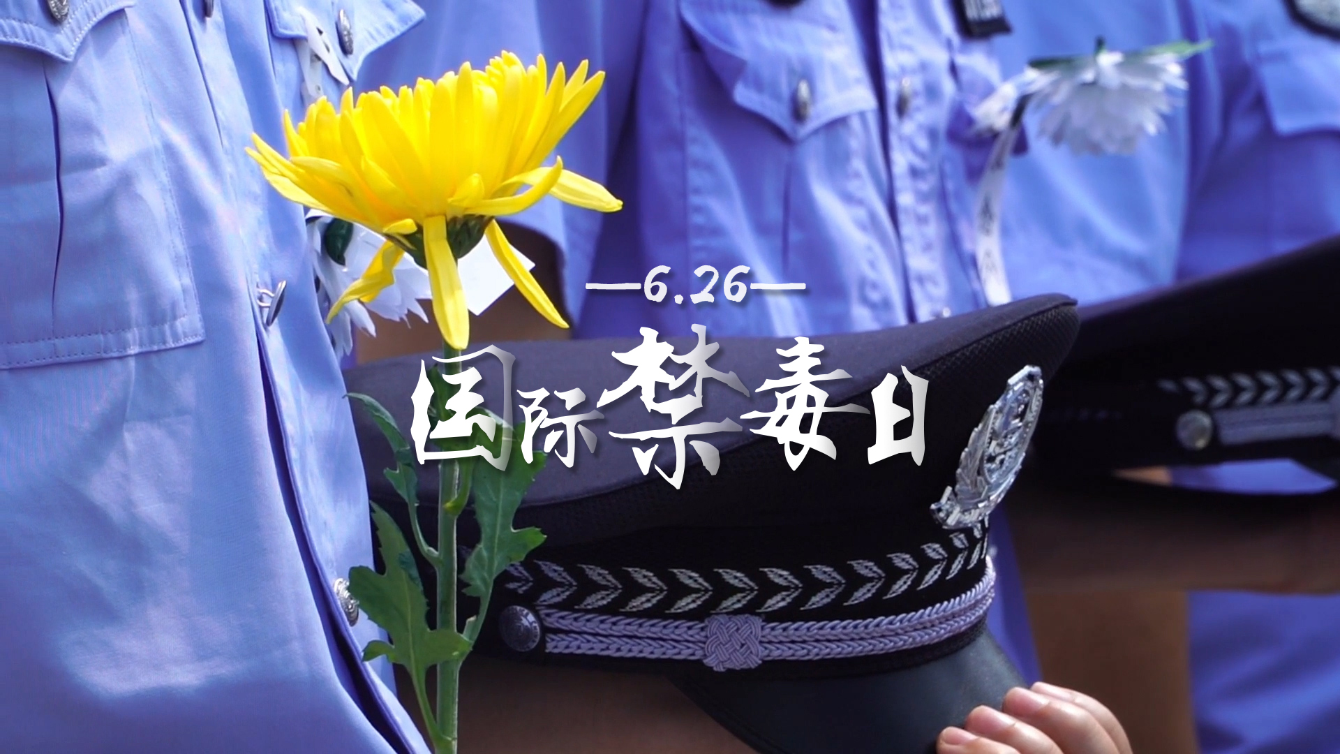 读懂缉毒警察的奉献和牺牲 对毒品说"不"