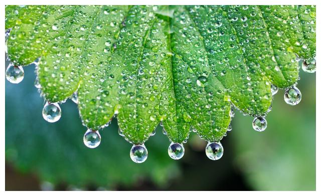 八字一分钟算命术:天干地支组合象义解读(壬,癸)