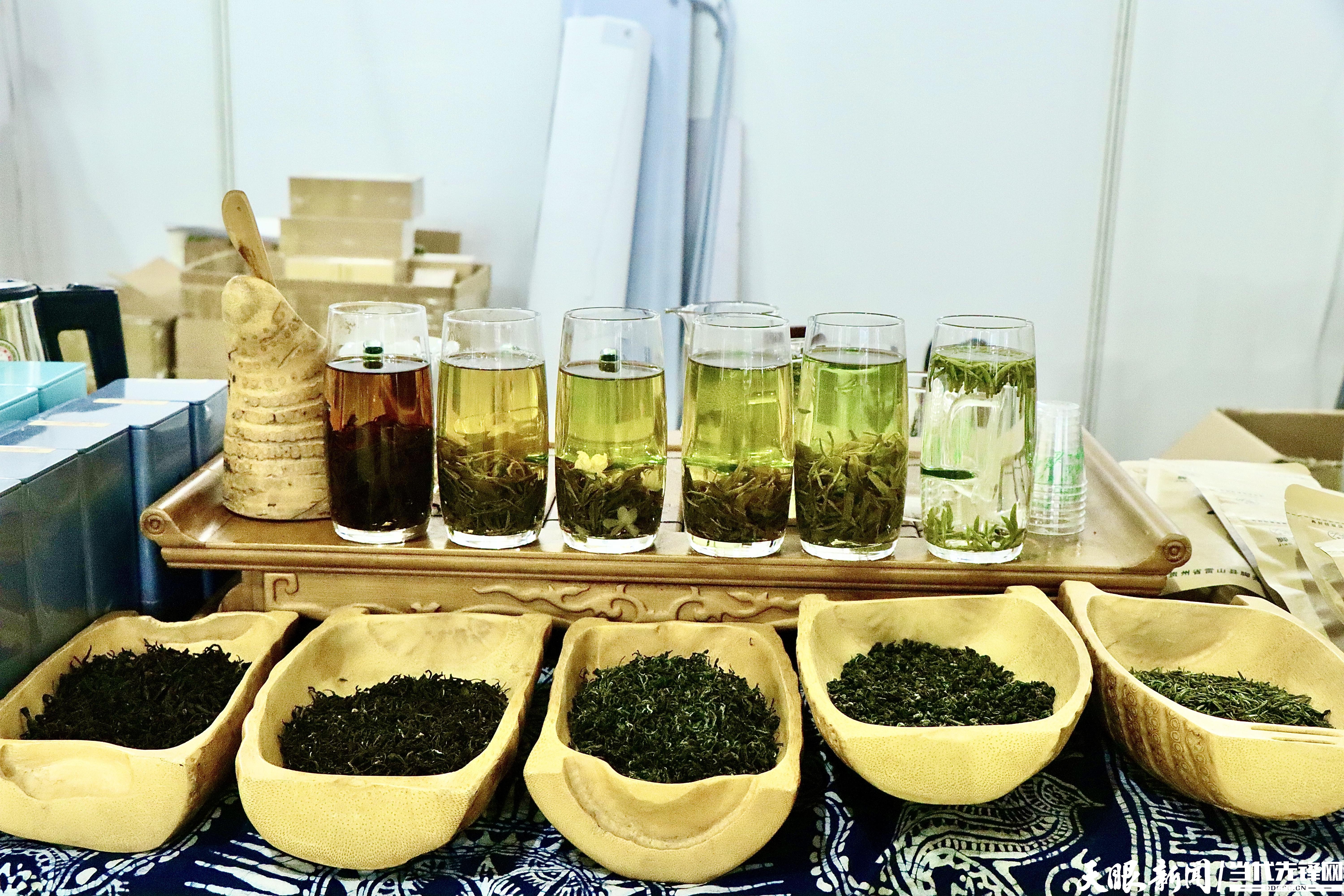 「聚焦2023北京茶博会」梵净山茶:一叶见方寸 一茶观万千