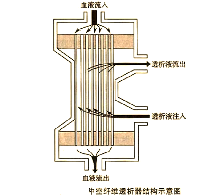 在透析器内部,透析液与血液呈现出不同的流动路径