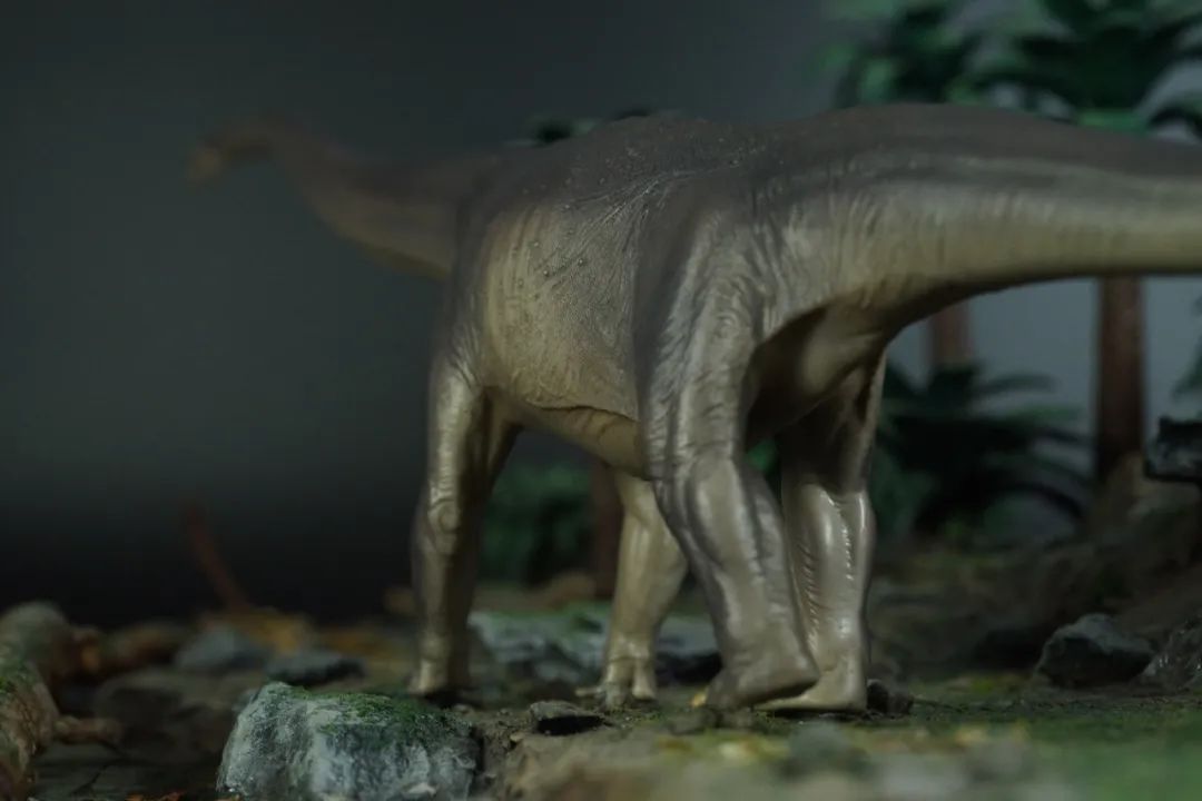 pnso博物馆系列新老马门溪龙