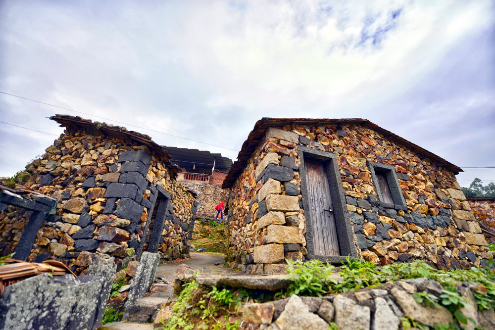 泉港区涂岭镇樟脚村南安市翔云镇沙溪村常年云雾缭绕,加上植被茂密