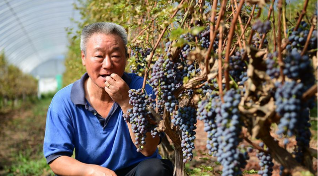 "李华葡萄酒,圣桑桑葚果汁"首次成为国宴主角