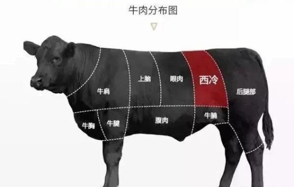 安格斯牛肉分割图图片