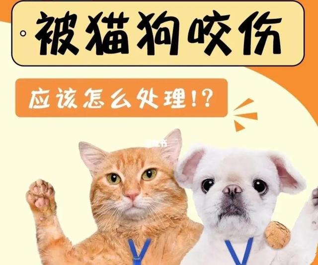 只是被狗狗牙齒蹭破一點皮出血要不要打狂犬疫苗?