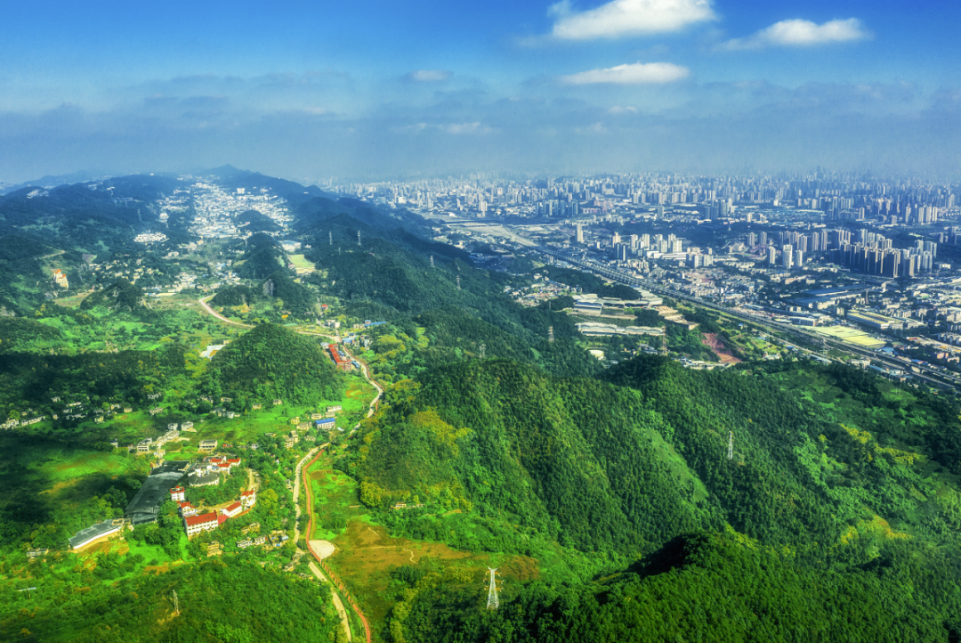 区县动态|九龙坡区:给中梁山修"疤痕",为城市亮"底妆"