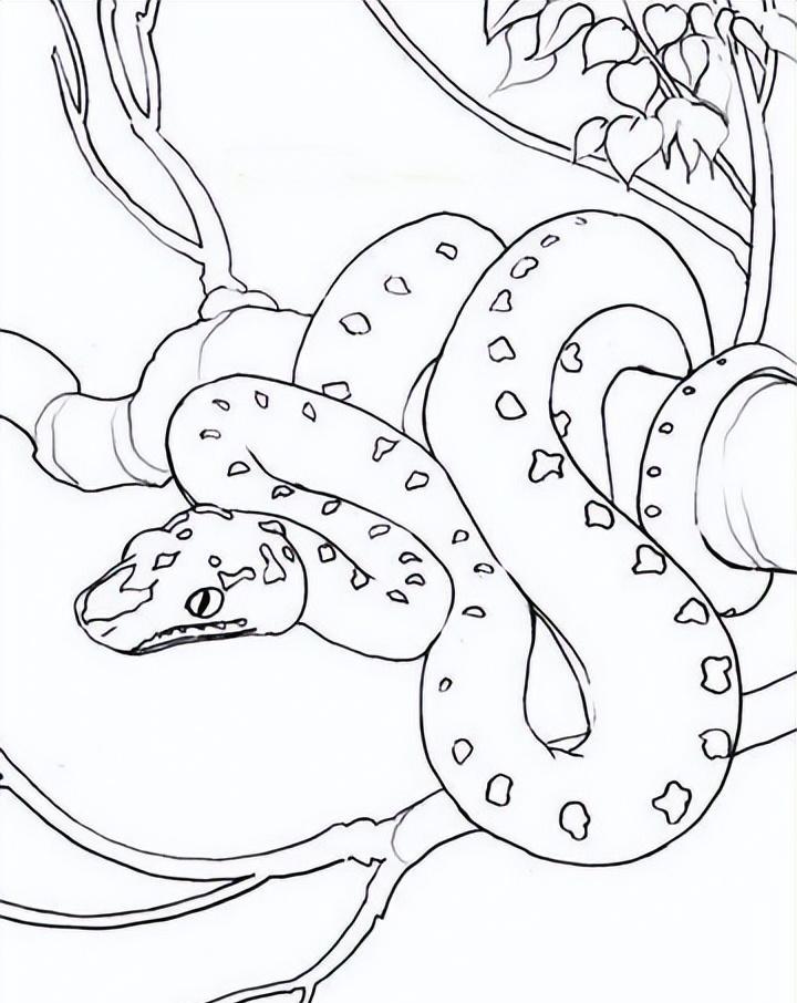 巨蛇的简笔画图片
