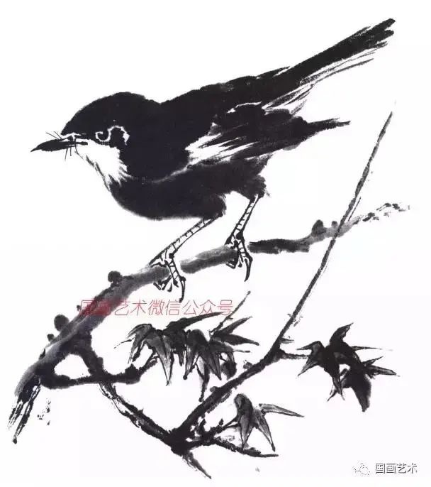 水墨写意鸣禽,5步学会各种形态的鸟!