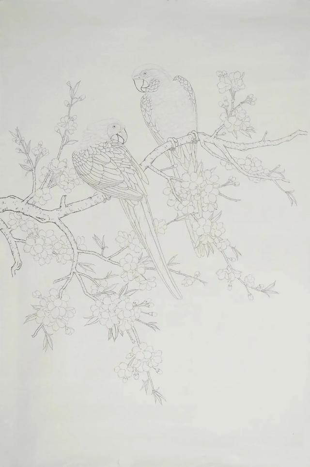 《工笔鹦鹉》工笔绘制步骤