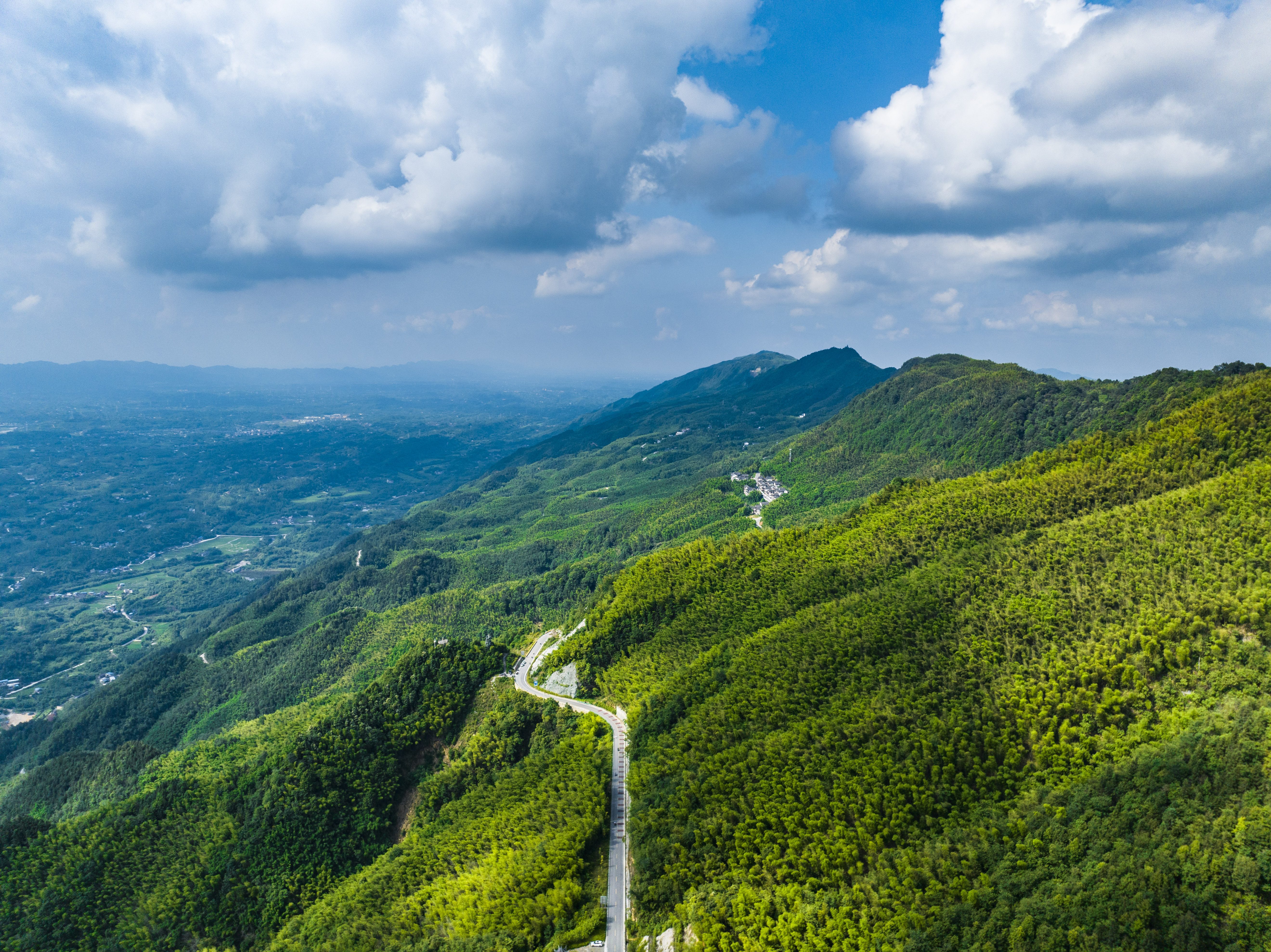 茶山竹海景区图片