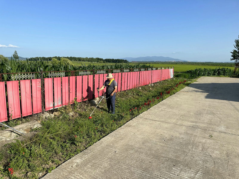 黑龙江饶河县饶河镇:除草净路两不误 清洁美化新乡村
