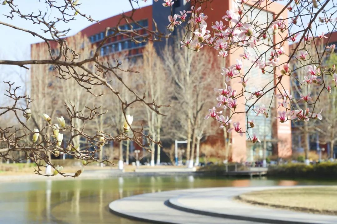 盎然这是北工大的"花样年华"萌芽绽放,百花盛开花有约,春不误花开校园