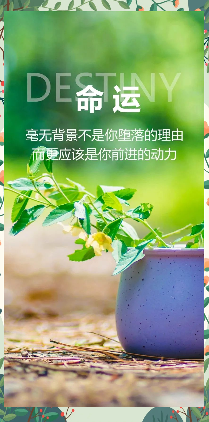 励志的字句剪短(励志的字句剪短文案)