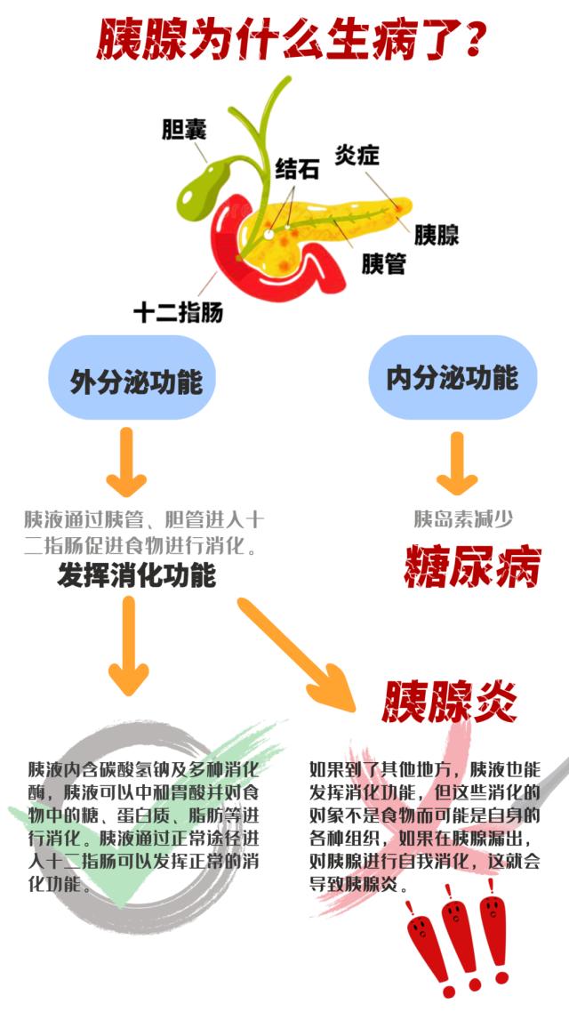 27岁网红被曝去世:急性胰腺炎真有传说中那么"厉害?