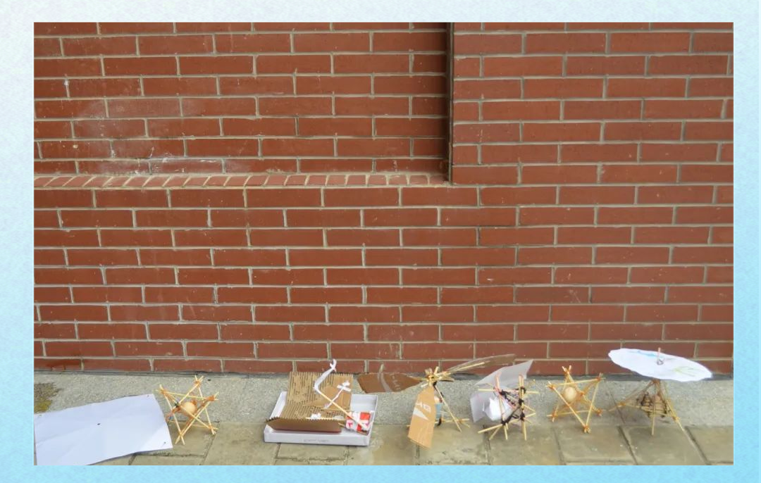 新闻动态|护蛋大赛:展现创新智慧,让鸡蛋安全从高空坠落