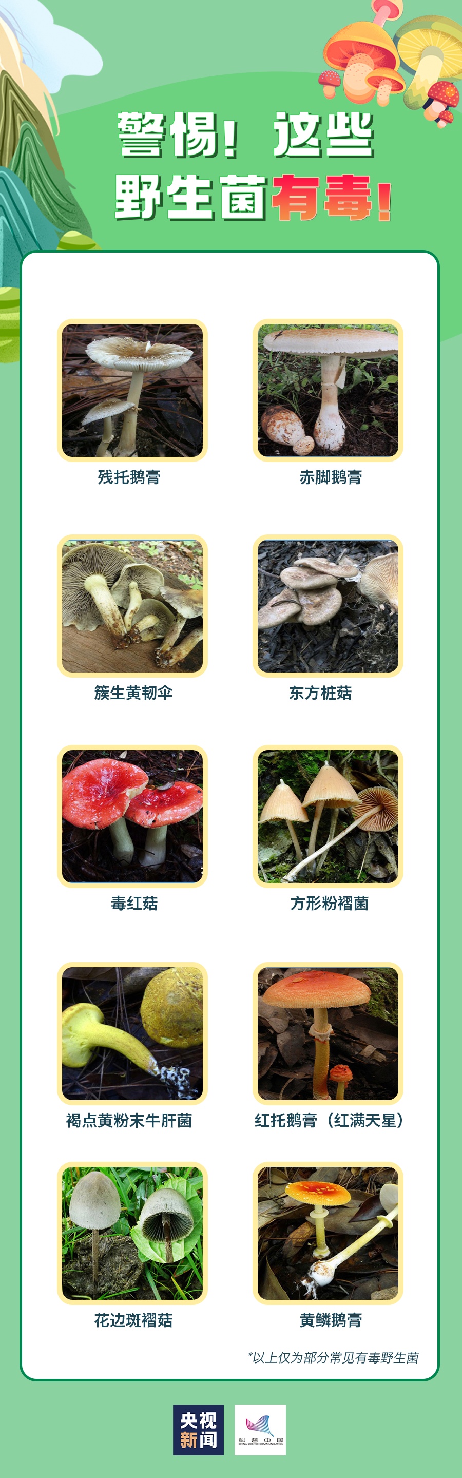 禁食野生蘑菇宣传图片图片