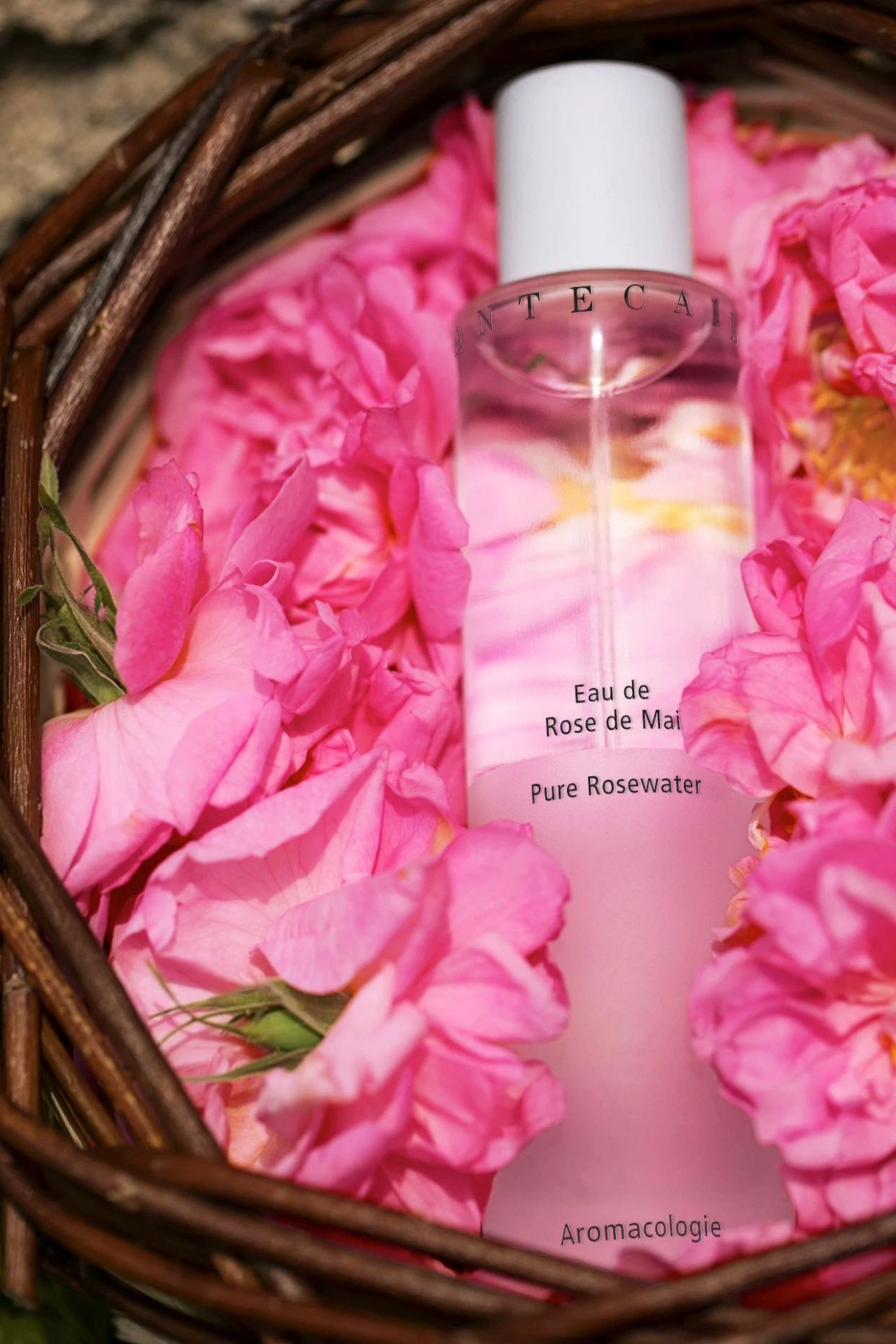 "贵妇品牌"香缇卡要卖身?中国市场成为重要筹码