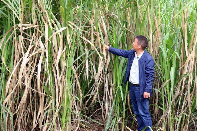 王德贵:倾情科技推广 服务畜牧发展