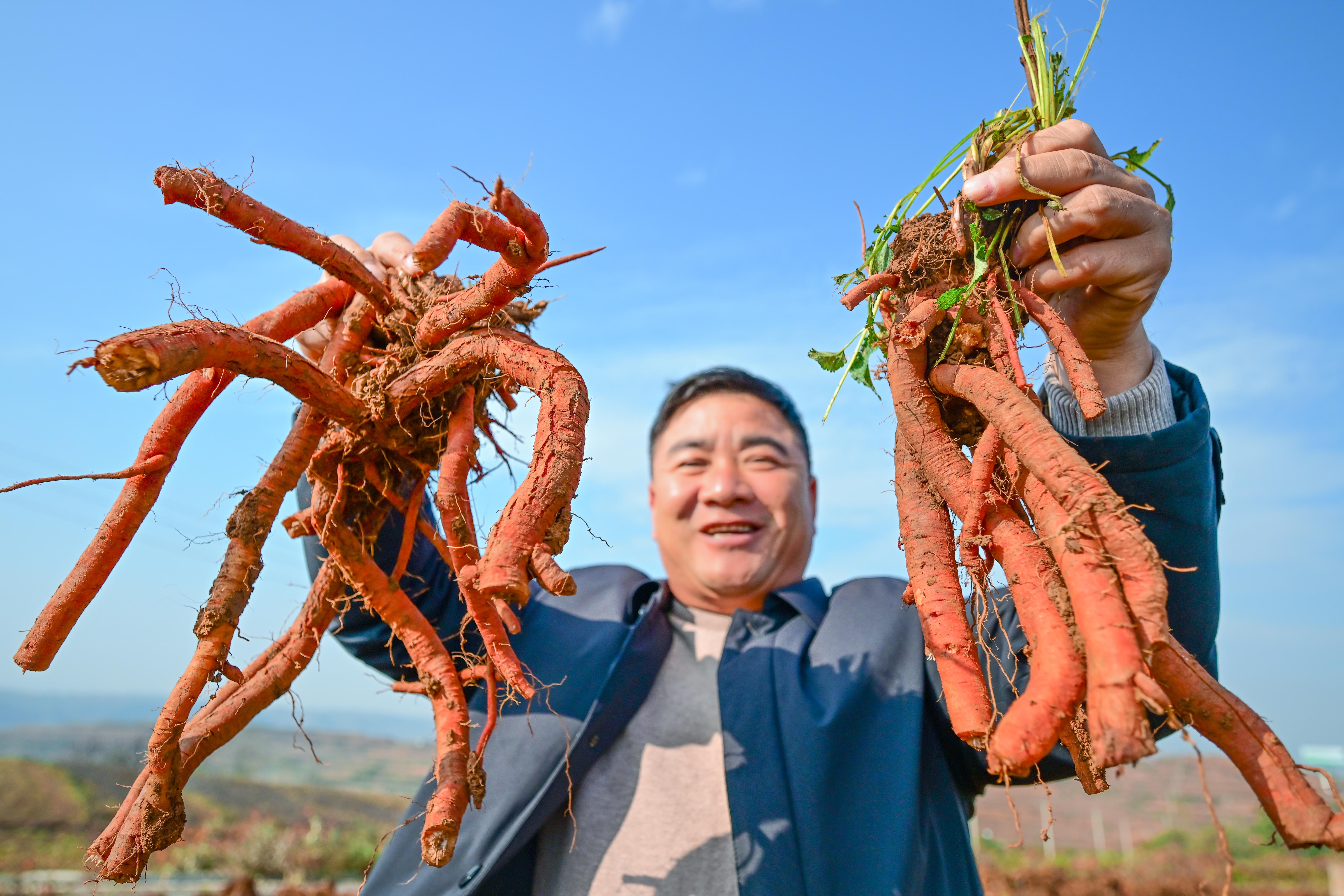 乡贤照片图片