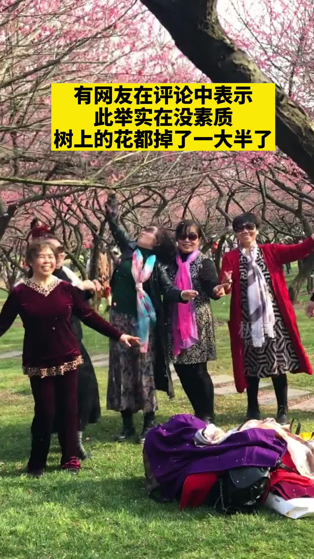 大妈摇落花瓣雨拍照,网友哭了:我来只能看树枝了