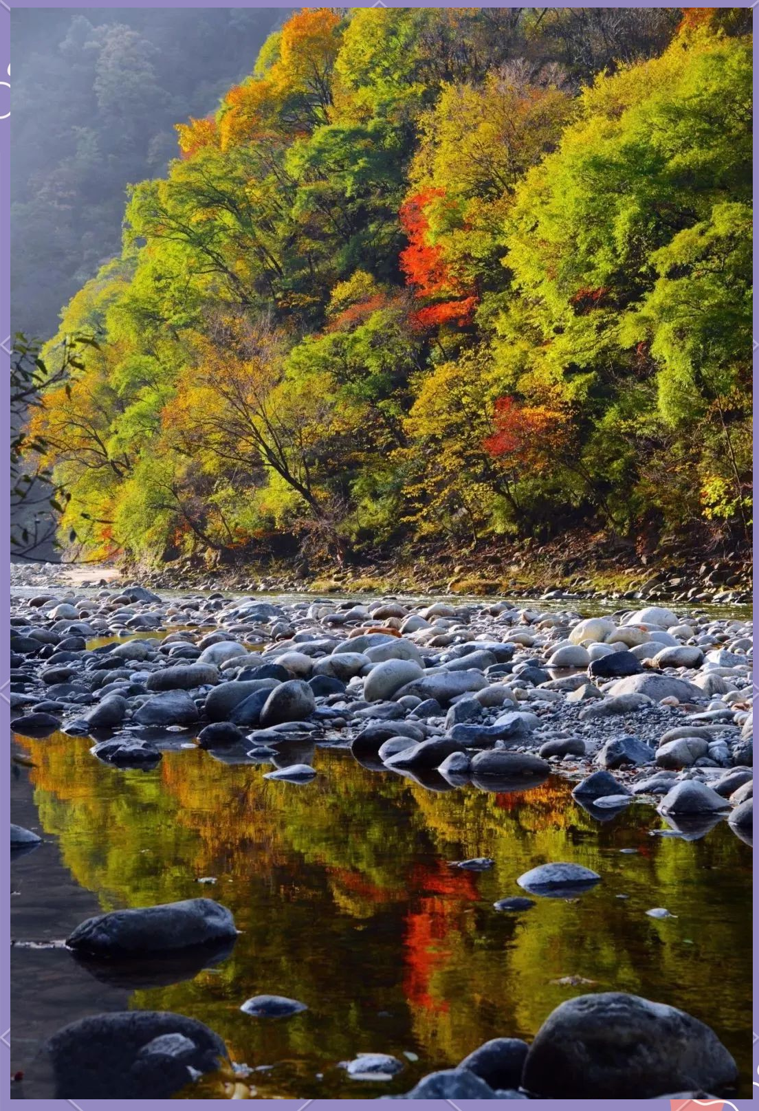 众多特色生态旅游线路,带你领略秦岭北麓的生态奇观
