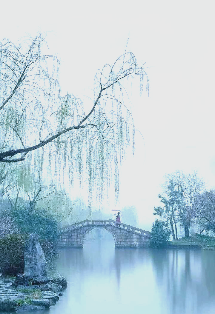 探索秋柳诗意之美:文人笔下的离愁与江南韵味