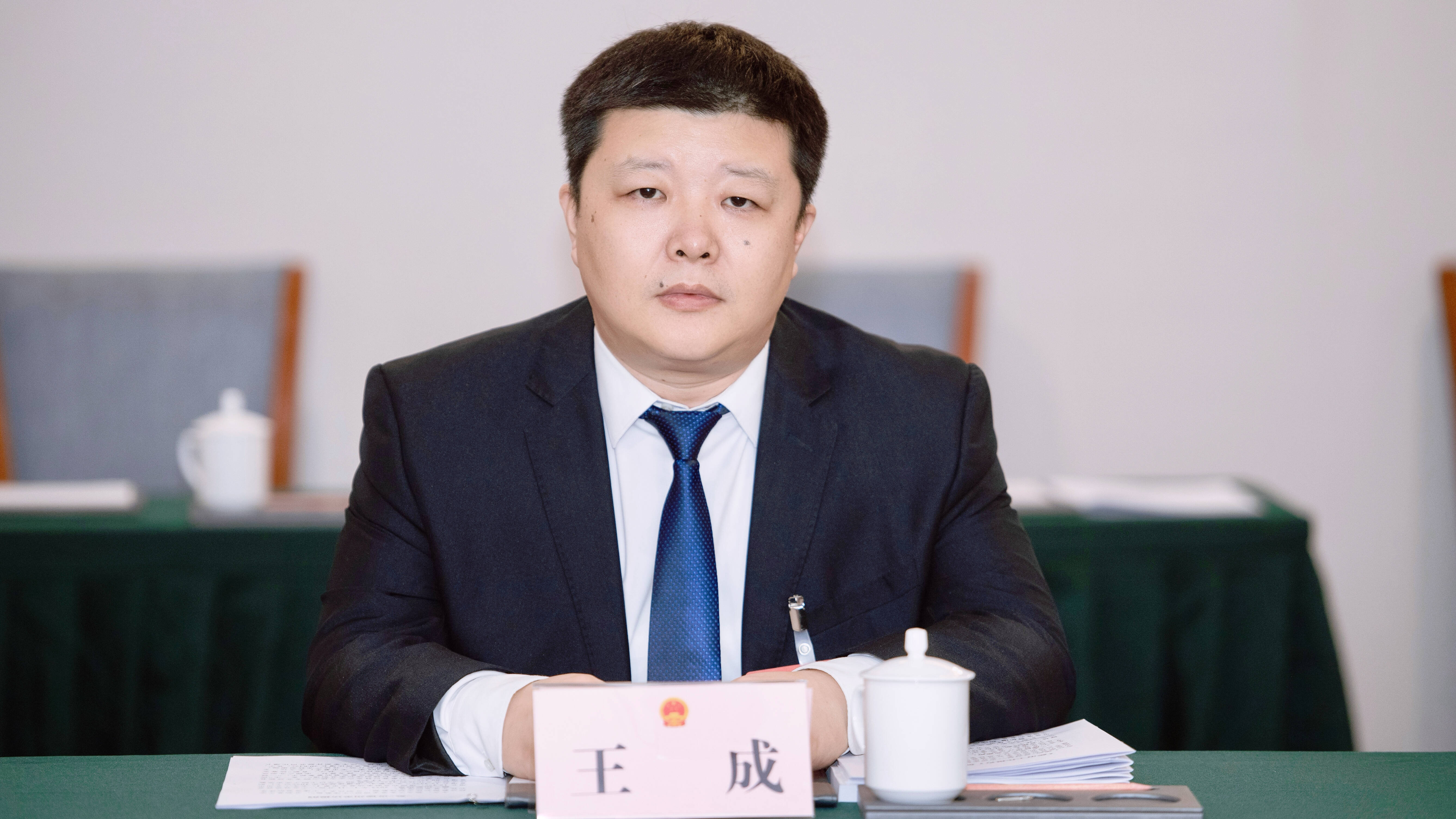 2024德州两会丨市人大代表王成:发展"一金一木"特色产业 以科技创新