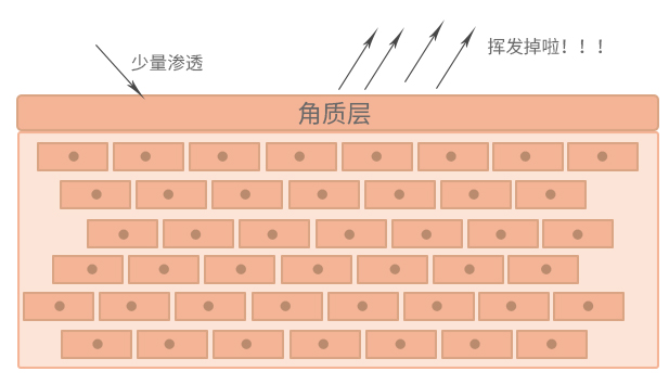 皮肤砖墙结构图片图片