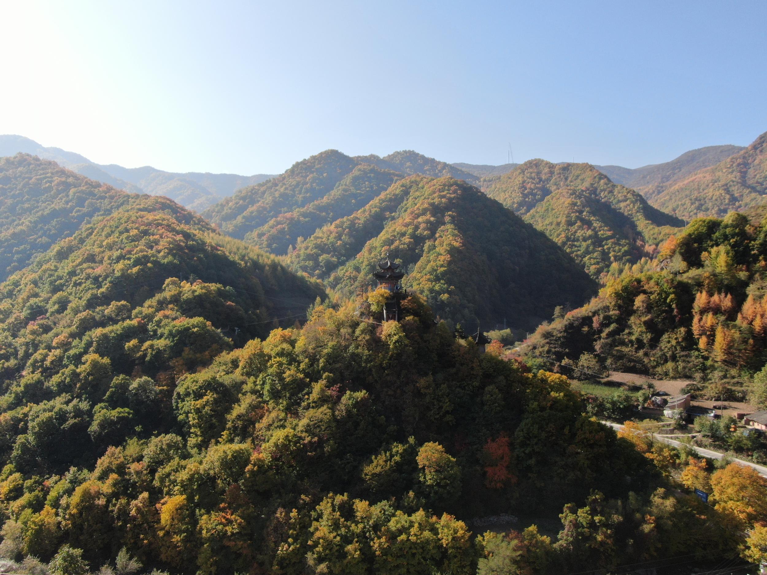 甘谷景区图片